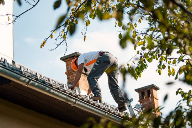 Best Roof Leak Repair  in Orange, VA
