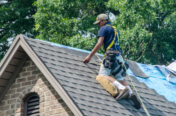 Best New Roof Installation  in Orange, VA